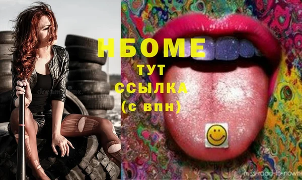 тгк Лагань