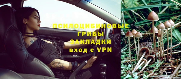шишки Лихославль