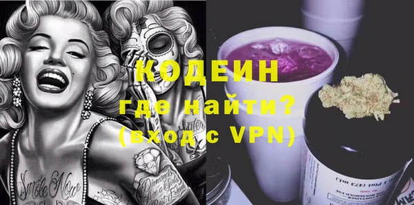 индика Ладушкин