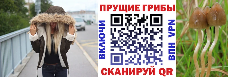 Галлюциногенные грибы ЛСД  Чекалин 